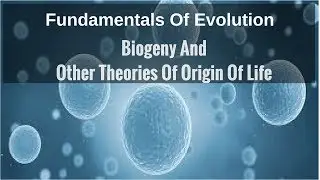 Biogeny, Other Theories Of Origin Of Life