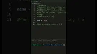 Variables and Strings in Python
