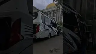 Story Wa Bus Dav Musical Trans