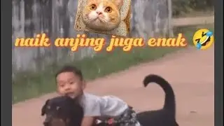 Naik anjing juga enak 🤣