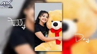 Teddy day 4k hd WhatsApp status video happy teddy day full screen status video
