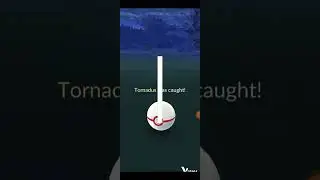 CATCHING A SHINY TORNADUS🔥🥳 (INCARNATE FORM)