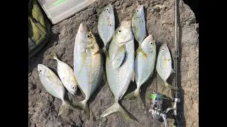 How to go mina break water fishing spot abu dhabi