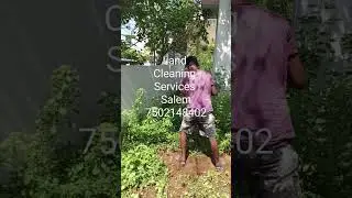 House Land Cleaning Services Salem Plants Removing work Outdoor Area Cleaning Workers Renovation