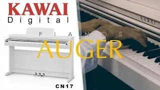 KAWAI CN 17