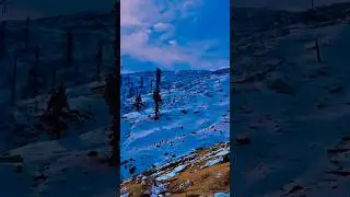 Epic Snowfall in Patnitop Hill Station 2025 January 🌨️❄️⛄️ #patnitophillstation #axelvlogs