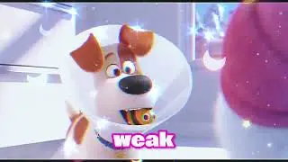 Gidget [edit ]Literally My Life  Secret Life Of Pets