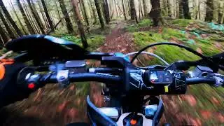Sweet flow trail. Low elevation. West Coast BC Winter ride
