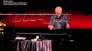 Mark Berry performs Paschal's Triangle (excerpts) by David Steinquest