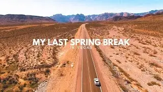 Chapter 39: Insanity in Vegas