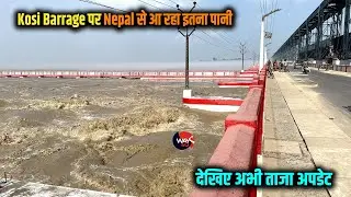 Kosi Barrage पर अभी Nepal से आ रहा लगभग 2.5 लाख क्यूसेक पानी | देखिए ताजा अपडेट | Way4U