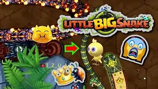 🐍Little Big Snake🐞Dedicated to my friends, Natural Born KILLERS!✌😎