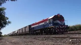 LA EMD-GT22 Nº9014 DE(NCA) TREPANDO LA RAMPA A LA SALIDA DEL PUEBLO DE (TORTUGAS)santa fe...