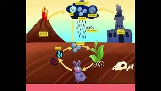 DAUR SULFUR || MATERI EKOSISTEM - BIOGEOKIMIA