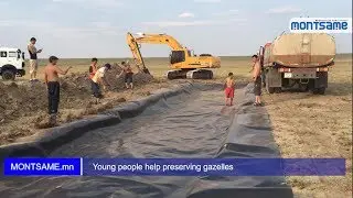 Young people help preserving gazelles