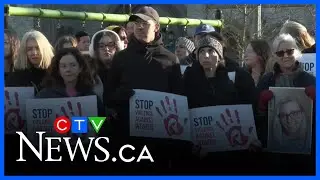 Why does Saskatchewan have the highest rate of domestic violence in Canada?