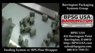 BPS Flow Wrapper Serpentine Sorting & Indexing System-Feeding System