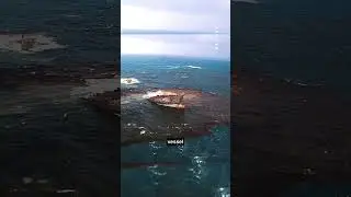 Worst oil spill #nature #facts