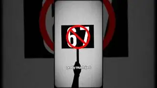 Они протестуют 6 7