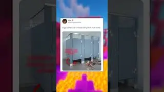 Funny Memes