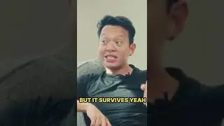 Meow from Jupiter Exchange explains his thesis to YouTube co founder Steve Chen    #crypto