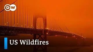 Deadly wildfires sweep across US west coast | DW News