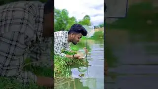 🧐 Itha யோசிக்கவே இல்லையே 🐠 | catch pond fish | balasvoyage