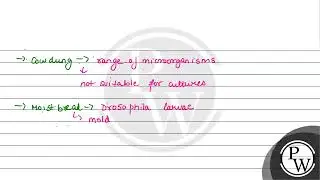 Which of the following is the most suitable medium for culture of Drosophila melanogaster?....