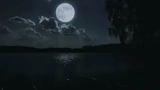 🌙 Deep Night Rainfall under Drifting Clouds with Moonlit Reflections across Quiet Lake 6 Hours