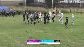 Lobos Toluca vs Carneros