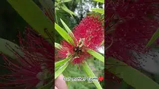 Our mother Earth।। #spirituality #spiritual #uttarakhand #naturelovers