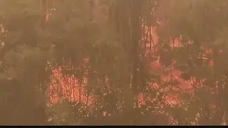 California Wildfire deaths