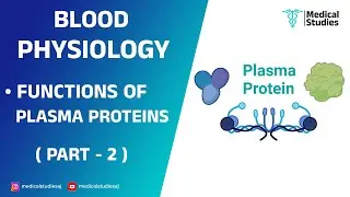 Functions of Plasma proteins Part - 2 | Blood physiology I Medical Studies | @medicalstudiesaj