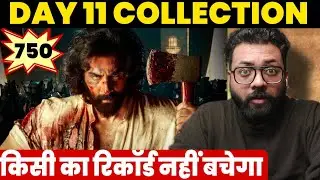 Animal Day 11 Worldwide Box Office Collection | Animal Box Office Collection India