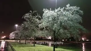 Freezing Rain and Icing on Oklahoma University Norman, Oklahoma - January 3, 2019