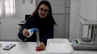 Análise de Sementes Parte III - Teste de Germinação