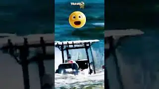Survival in the Storm 🌪️