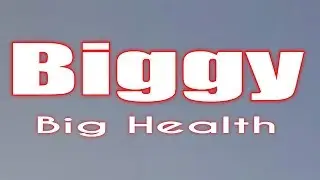 BiG HEATH - BiGGY (Lyrics)