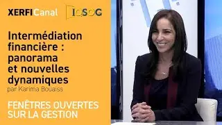 Intermédiation financière : panorama et nouvelles dynamiques [Karima Bouaiss]