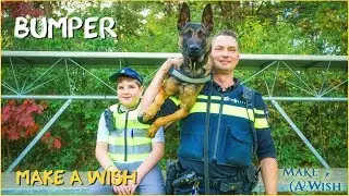 Bumper & Make a Wish