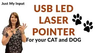Dog and Cat Toy- Laser Pointer with USB Charger - Every pet owner needs one of these laser pointer!