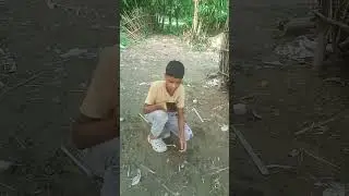dhsgb