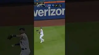 Every Sac Fly in Joey Gallo's Career