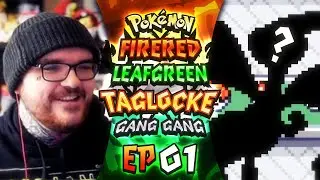 𝗔 𝗕𝗥𝗔𝗡𝗗 𝗡𝗘𝗪 𝗔𝗗𝗩𝗘𝗡𝗧𝗨𝗥𝗘 &bull; Pokemon FireRed Randomizer Gang Gang Taglocke w/ HoodlumCallum  &bull; PART 01