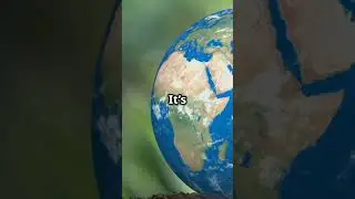 Breaking the Food Chain #FoodChain #Ecosystems #Biodiversity #NatureDocumentary #Conservation #facts
