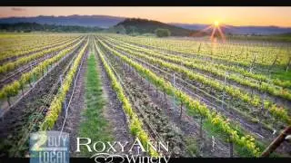 Winery in Medford Oregon - RoxyAnn Winery
