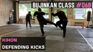 Defending Kicks | Bujinkan Martial Arts Class #068 | 2021
