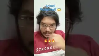 Animal Postponed | Animal Movie Postponed | Animal Postpone News True or False | क्या हैं सच्चाई 😱