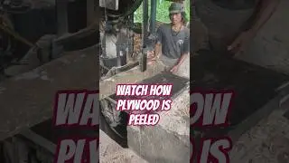 Watch How Plywood Is Peeled #wood #woodworking #automobile #2026 #machine #viral