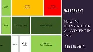 How I'm Doing My Allotment Planting Plan in 2018